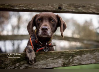 Mira - ist freiheitsliebend