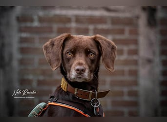 Mira - ist freiheitsliebend