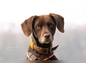 Mira - ist freiheitsliebend