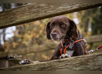 Mira - ist freiheitsliebend