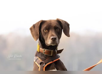 Mira - ist freiheitsliebend