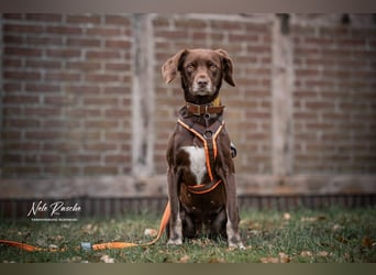 Mira - ist freiheitsliebend