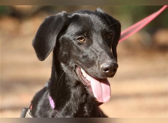 Rayo- freut sich auf ruhige Menschen