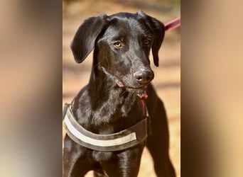 Rayo- freut sich auf ruhige Menschen