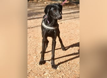 Rayo- freut sich auf ruhige Menschen