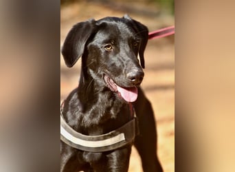 Rayo- freut sich auf ruhige Menschen