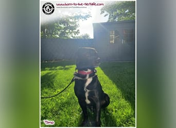 DRINGEND erfahrene Menschen gesucht für unseren Notfall TIMO