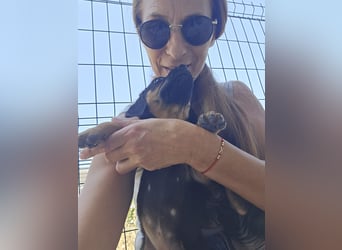 Surya - sucht Dich - der ihr zeigt was man fürs Leben wissen muss