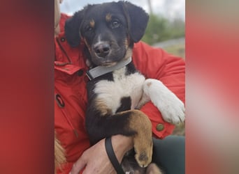 Georgina - möchte dich adoptieren oder Du sie ?