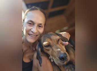 Ginger - tapfere Mama, die gerne eine Familie hätte, bei der sie ankommen kann
