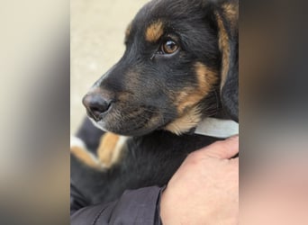 Georgina - möchte dich adoptieren oder Du sie ?