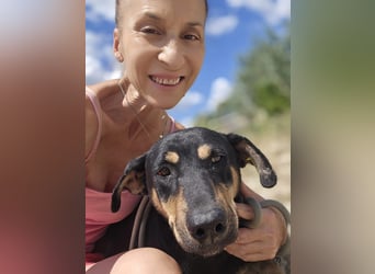 Ivana - tapfere Mama sucht ihre Familie, die sie lieb hat