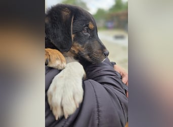 Georgina - möchte dich adoptieren oder Du sie ?