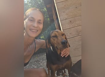 Ginger - tapfere Mama, die gerne eine Familie hätte, bei der sie ankommen kann