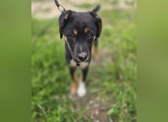Georgina - möchte dich adoptieren oder Du sie ?