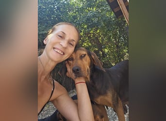 Ginger - tapfere Mama, die gerne eine Familie hätte, bei der sie ankommen kann