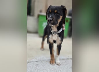 Georgina - möchte dich adoptieren oder Du sie ?