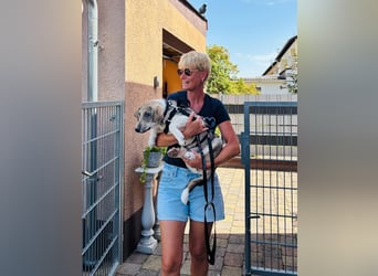 Ari - jung, verspielt - nimmst du mich auf ?