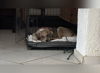 Ari - jung, verspielt - nimmst du mich auf ?