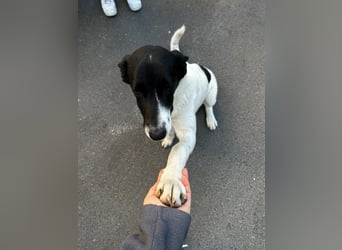 Milena  - sucht dich zum schmusen