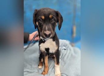 Georgina - möchte dich adoptieren oder Du sie ?