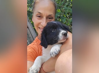 Jamila sucht Dich - ein Zuhause für immer