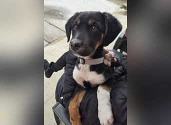 Georgina - möchte dich adoptieren oder Du sie ?