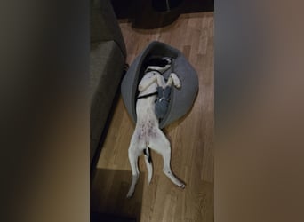 Klara - sucht Dich für gemeinsame Abenteuer
