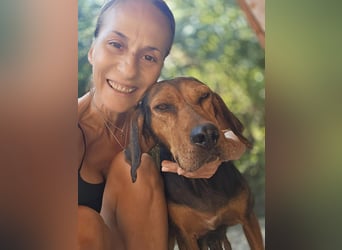 Ginger - tapfere Mama, die gerne eine Familie hätte, bei der sie ankommen kann