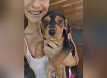 Gwenita - sucht dich für ein liebevolles Zuhause - ihr Köfferchen für dich hat sie gepackt
