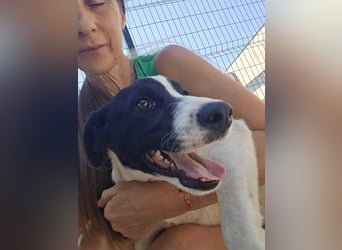 Klara - sucht Dich für gemeinsame Abenteuer