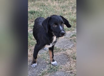 Olivia - sucht dich , die ihr mit Geduld und Liebe die Welt zeigt