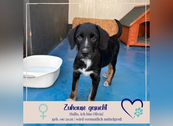 Olivia - sucht dich , die ihr mit Geduld und Liebe die Welt zeigt