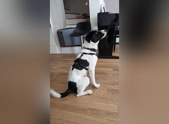 Klara - sucht Dich für gemeinsame Abenteuer