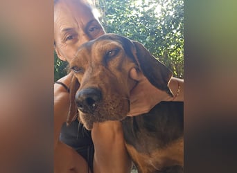 Ginger - tapfere Mama, die gerne eine Familie hätte, bei der sie ankommen kann