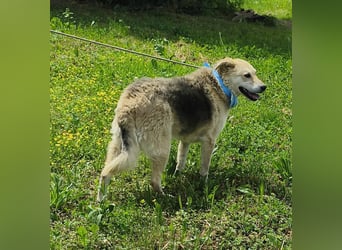 Kazi EK freundlich, lieb und erobert Herzen