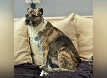 Flori - ist unsicher