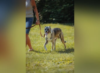 Flori - ist unsicher