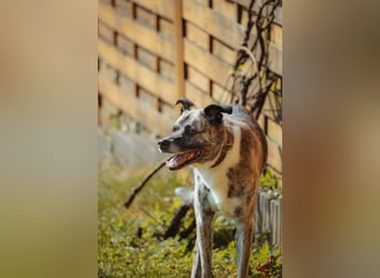 Flori - ist unsicher