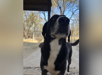 Angel - unser süßer Prinz sucht sein Glück