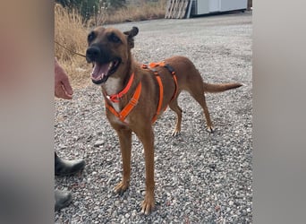 Sadie sehnt sich nach Liebe und Geborgenheit