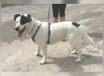 Rocky sehnt sich nach Liebe und Geborgenheit