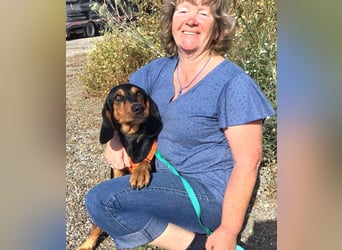Cleo wünscht sich eine Familie