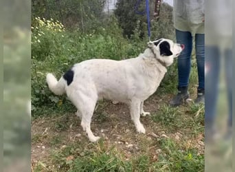 Rocky sehnt sich nach Liebe und Geborgenheit