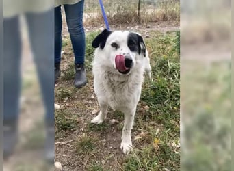 Rocky sehnt sich nach Liebe und Geborgenheit