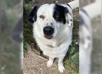Rocky sehnt sich nach Liebe und Geborgenheit