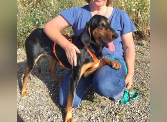 Cleo wünscht sich eine Familie