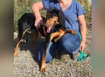 Cleo wünscht sich eine Familie