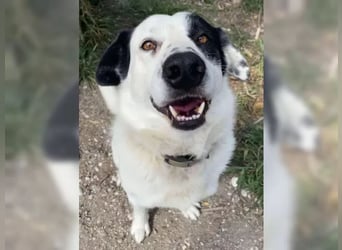 Rocky sehnt sich nach Liebe und Geborgenheit