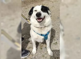 Rocky sehnt sich nach Liebe und Geborgenheit